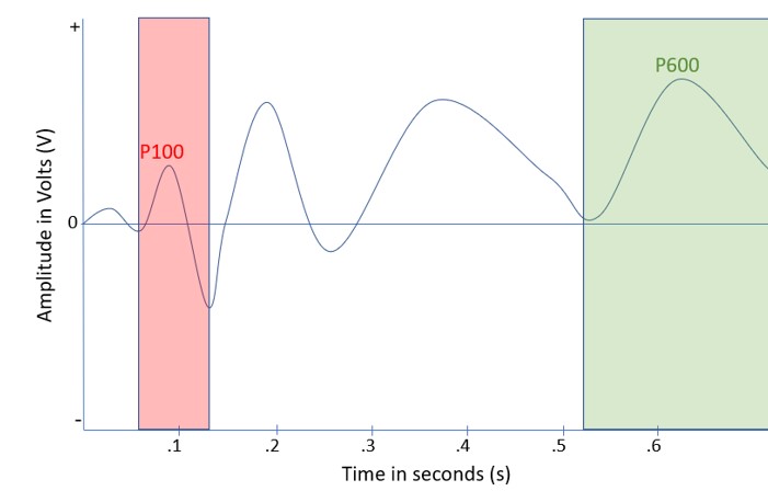 a graph with the p100 and p600. The P100 is the second small postive bump, the p600 is larger and the fifth positive bump.